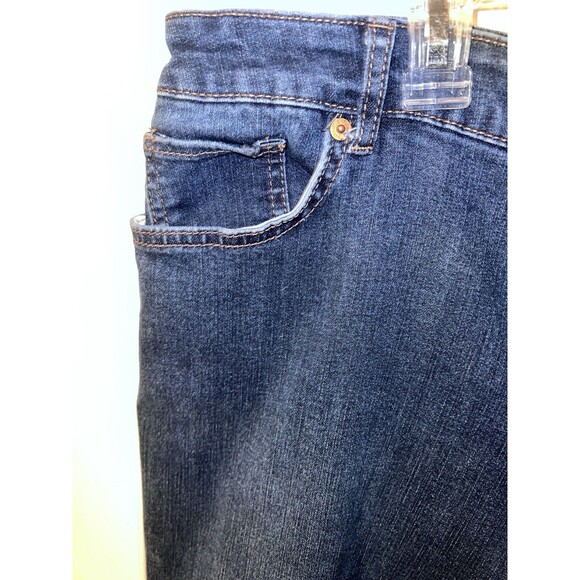 LOGO Limited Edition Lori Goldstein Velvet Patch Boyfriend Denim Jeans Size 20WP - Picture 8 of 13